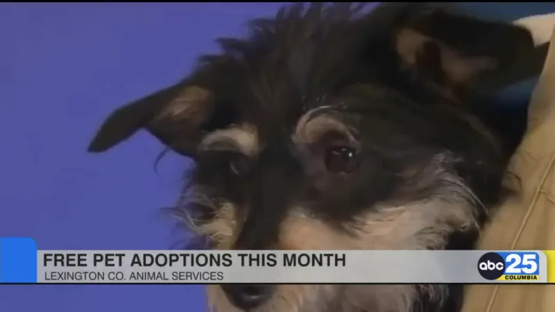 Lexington County Animal Shelter offering free dog and cat adoptions