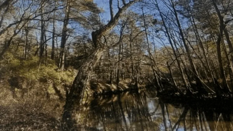 Florence County Council approves long-term land conservation plan
