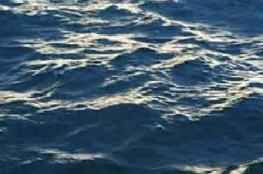 Deputies: Body found in Midlands lake