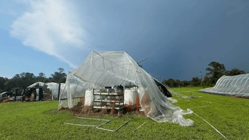 Storm badly damages family farm in Florence Co.