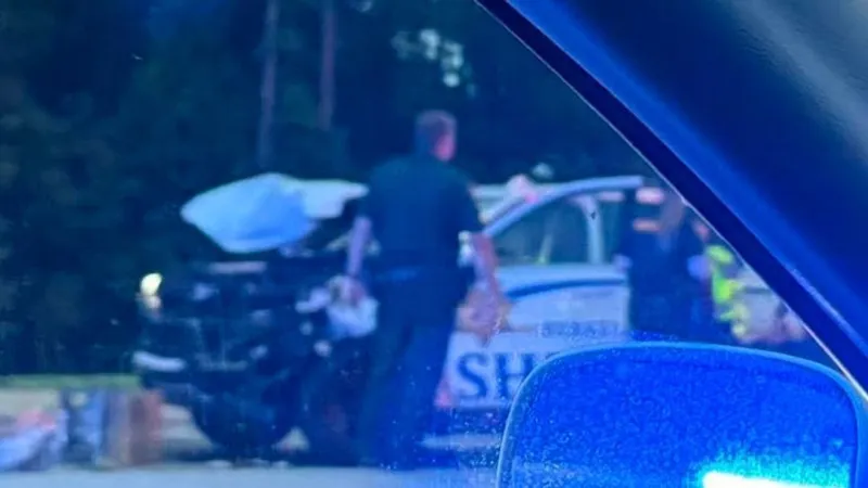 Alleged DUI driver who hit deputy fled, then was stopped by SC Highway Patrol