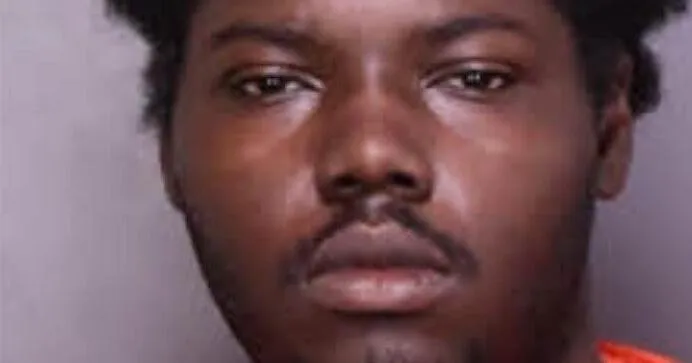 Effingham man accused of murdering 47-year-old