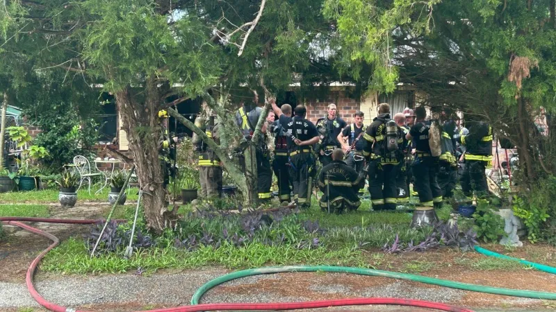 Family pets die from smoke inhalation in Summerville fire, officials say