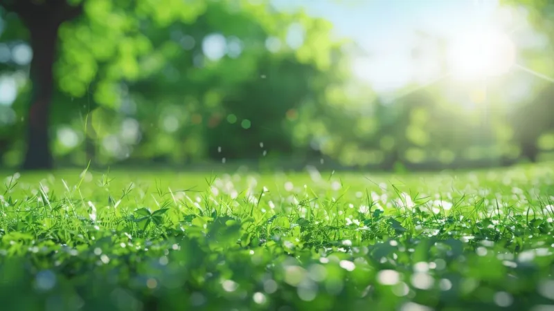 One more unseasonably dry day before humid, wet weather returns