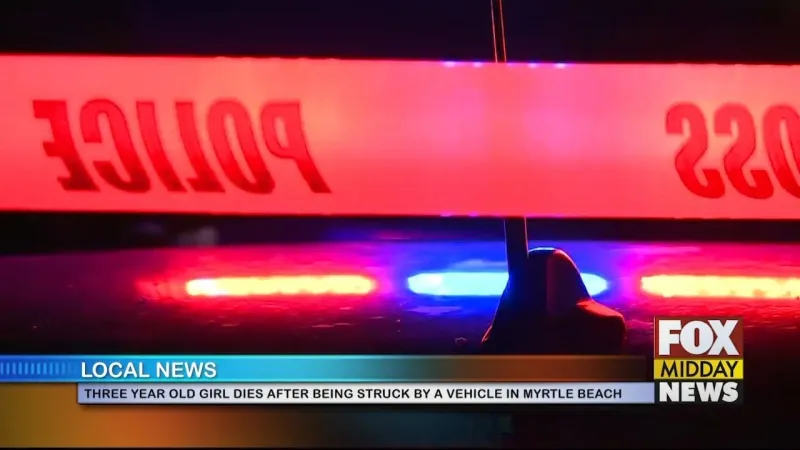 3-Year-Old Girl Dies After Being Struck By Vehicle