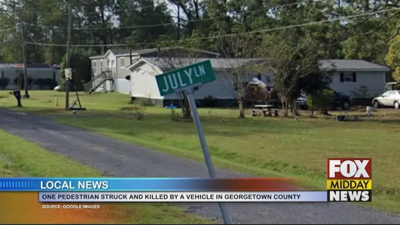 Pedestrian Struck And Killed In Georgetown County