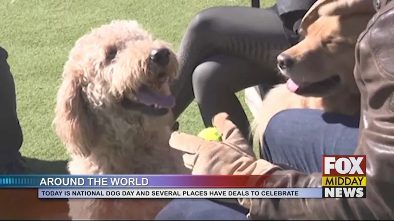 Deals To Celebrate National Dog Day (Aug. 26)