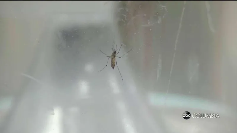 SCDPH announces West Nile Virus outbreaks in the Midlands, Lowcountry
