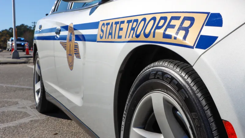 Pedestrian killed in Georgetown County hit-and-run