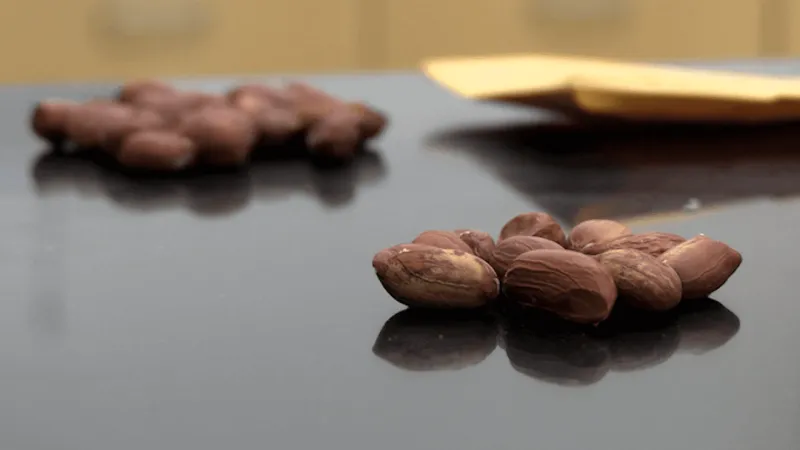 Reduced-allergen peanuts being developed by Clemson researchers in Florence