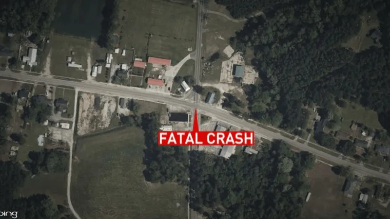 One dead after fatal car crash on Old Manning Rd