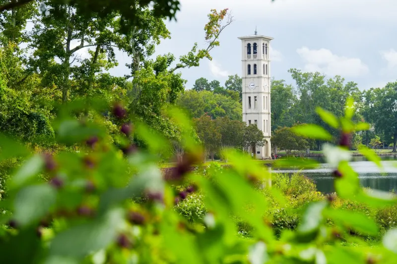 Furman programs recognized in Research.com 2027 rankings
