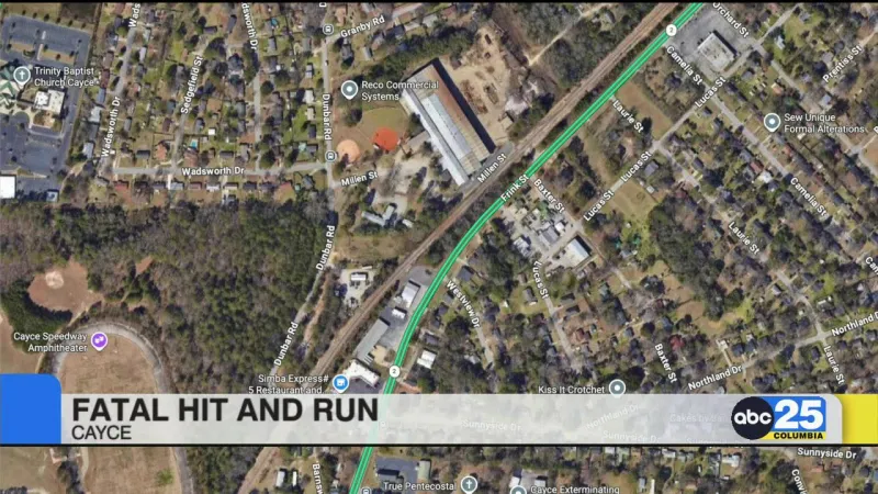 Lexington County coroner identifies woman killed in last month hit-and-run