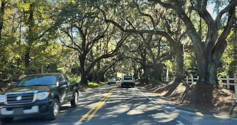 Charleston board approves removing 20 trees near busy Johns Island intersection to build townhomes