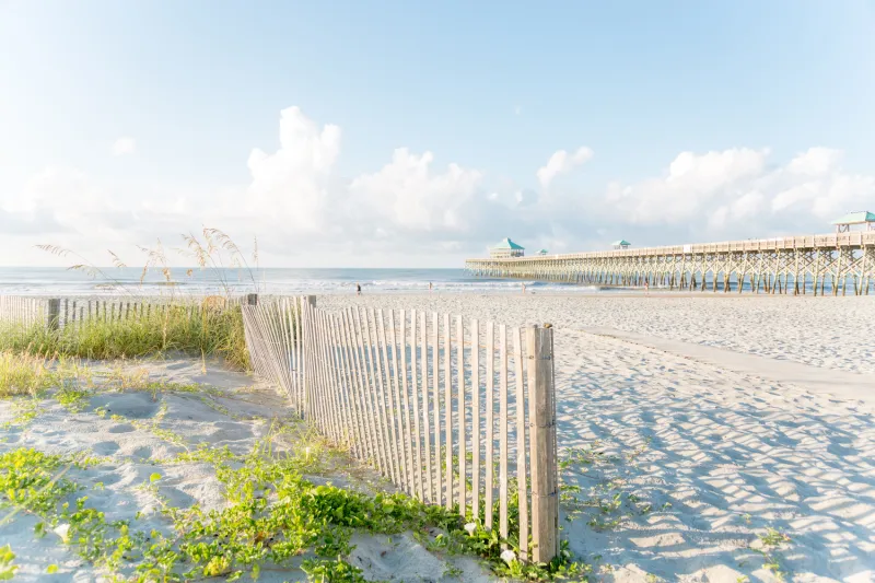 15 Free (+ Fun) Things to Do in Charleston