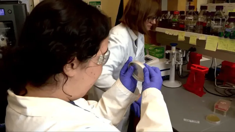 'It was very surreal': UNC Asheville researchers make discovery in drug-resistant staph