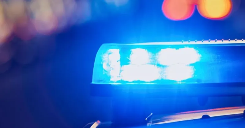 Florence County men guilty of stealing guns from Palmetto State Armory