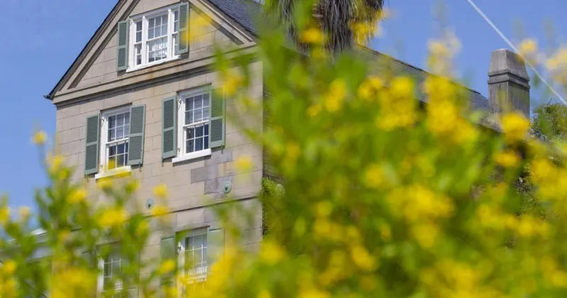 Her grandson was set to inherit $4.5M. Then 3 lawyers showed up.