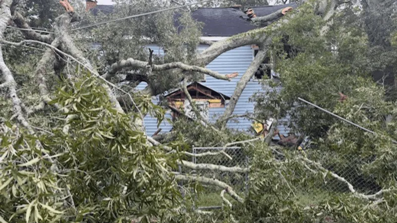 Storms leave trail of damage across Pee Dee, snapping power poles, downing trees