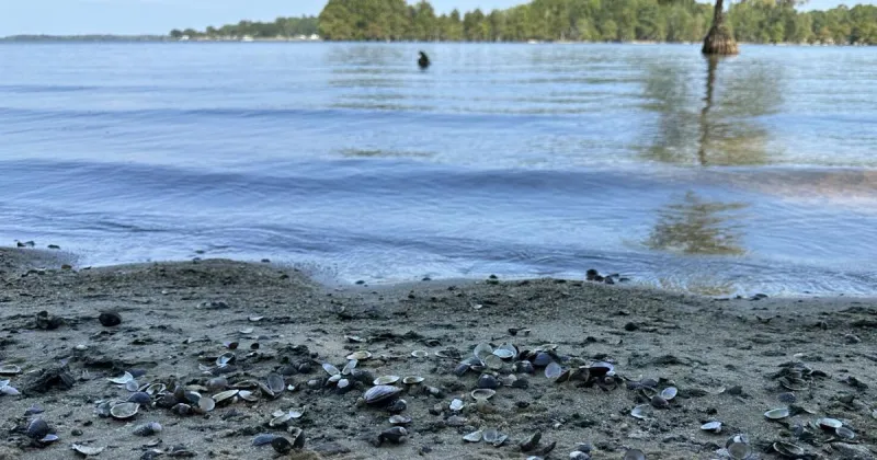 Teen drowns, another rescued near Eutawville