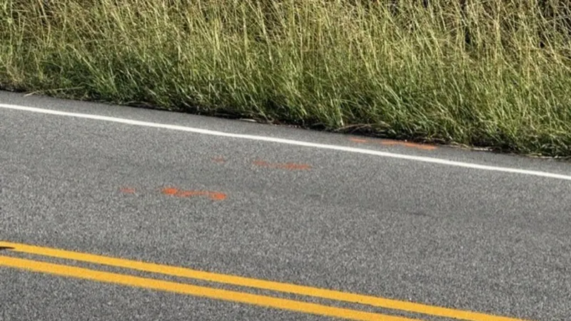 Woman killed after being hit by car in Florence Co.