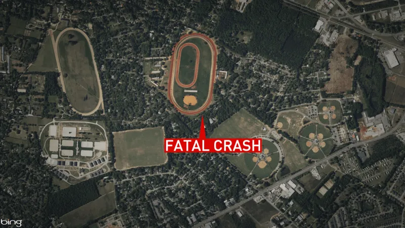 Woman dies after car hits tree and catches fire