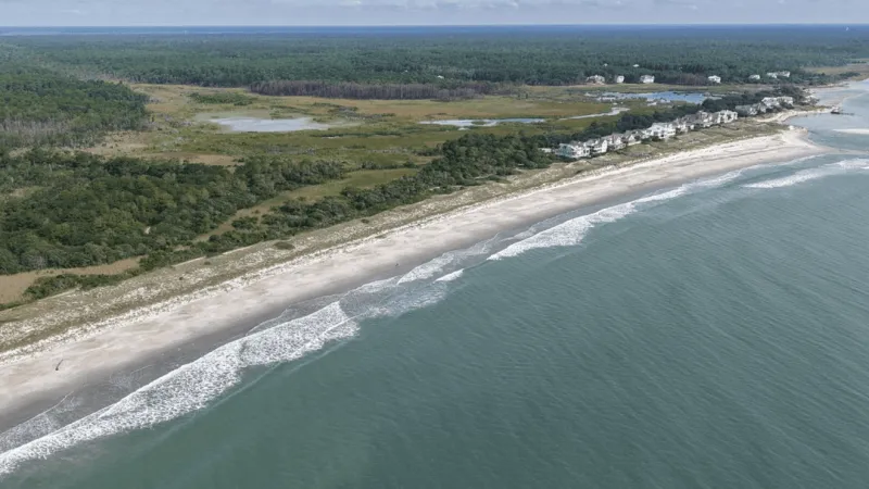 Georgetown County backs plan to preserve 3,500-acre Arcadia East tract