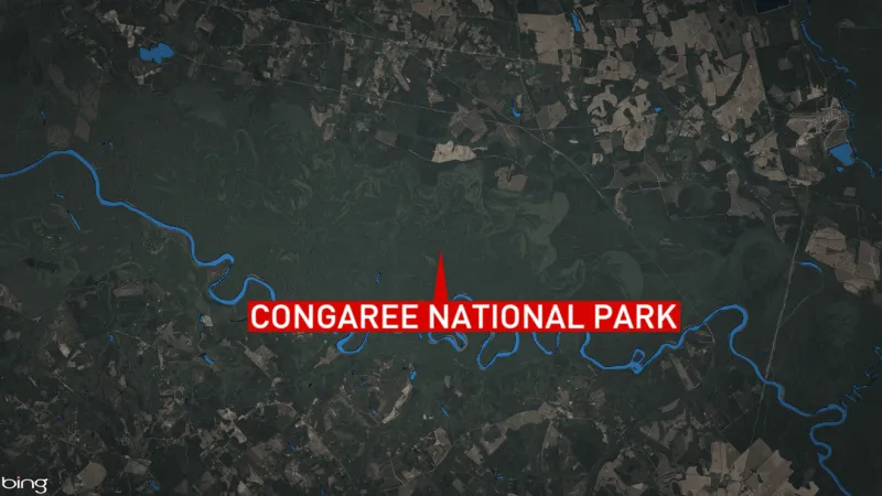 Lost hiker rescued in Congaree National Park