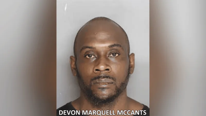 Deputy put in chokehold during Berkeley County traffic stop; Ladson man arrested