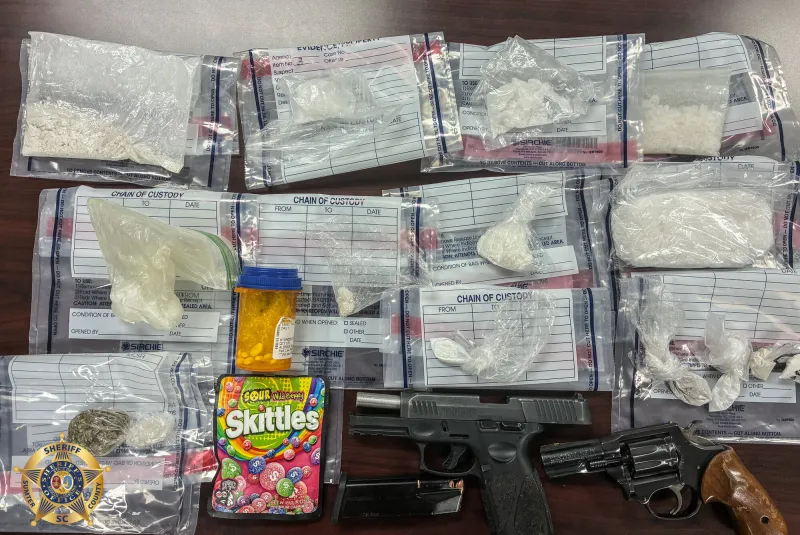 Sumter woman charged with trafficking $47K worth of drugs, deputies say