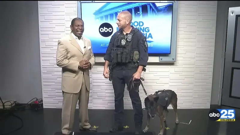 Local Living: Guardians of the Night K9 5K