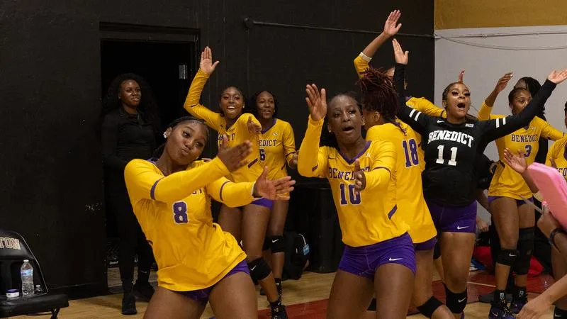 Lady Tigers Battle Past Clinton, 3-2