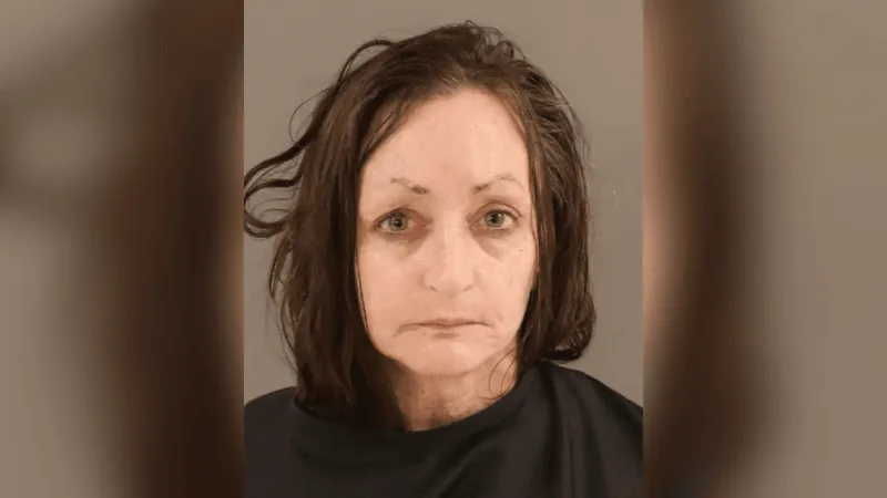 $47k in drugs seized in raid, woman accused of trafficking meth and fentanyl