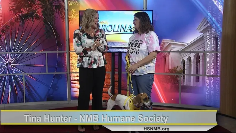 Humane Society of North Myrtle Beach Hosting Annual 'Sniffari on the Strand' Event