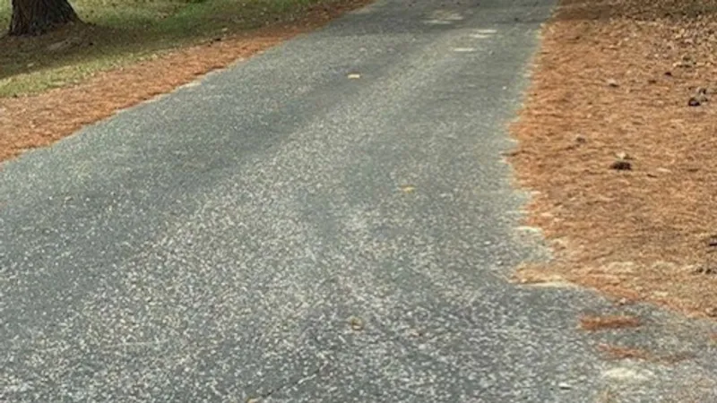 Reported drowning in Marlboro County