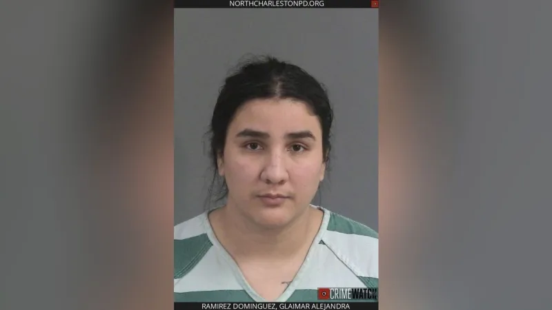 Police charge child's guardian after 2-year-old killed in North Charleston hit-and-run