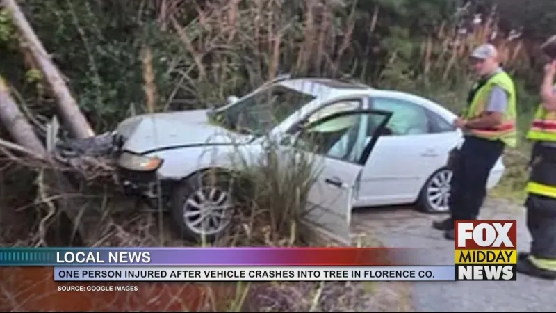 One Person Hurt After Car Crashes Into A Tree