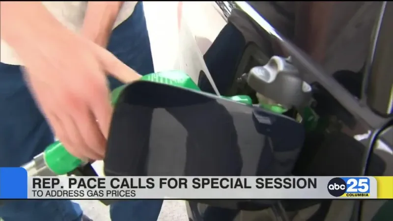 Rep. Pace calls for special session to address gas prices