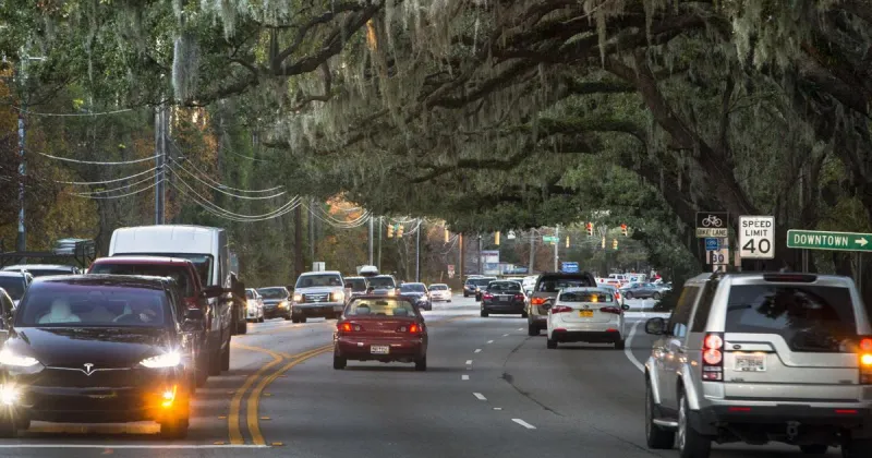 Charleston County board OKs request to remove trees for nearly 100 apartments on Folly Road