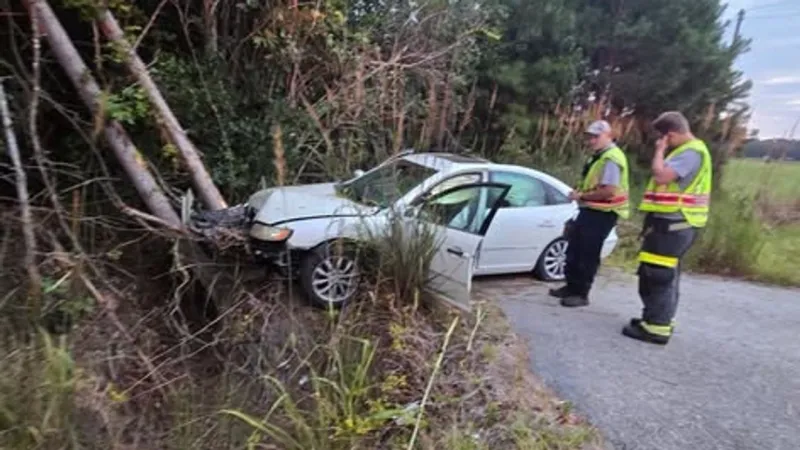 1 transported to hospital after car hits tree in Florence Co.