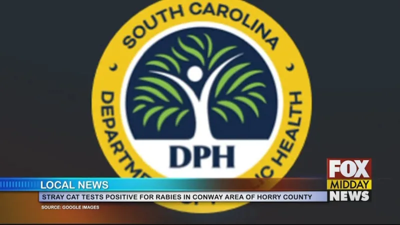 Stray Cat Tests Positive For Rabies In Horry Co.