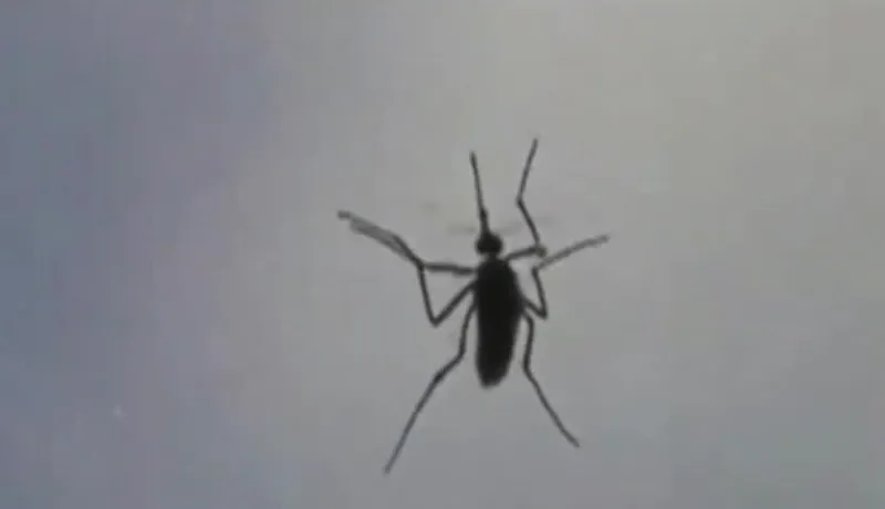 Kershaw Co. confirms human case of West Nile Virus