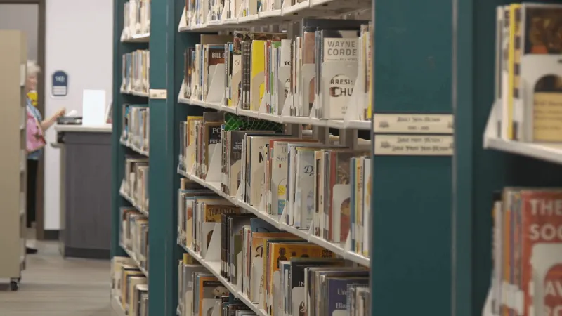 Georgetown County libraries to launch new series on American innovation, history