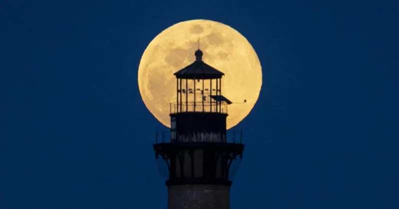 Look up, Lowcountry. International Observe the Moon Night is here.