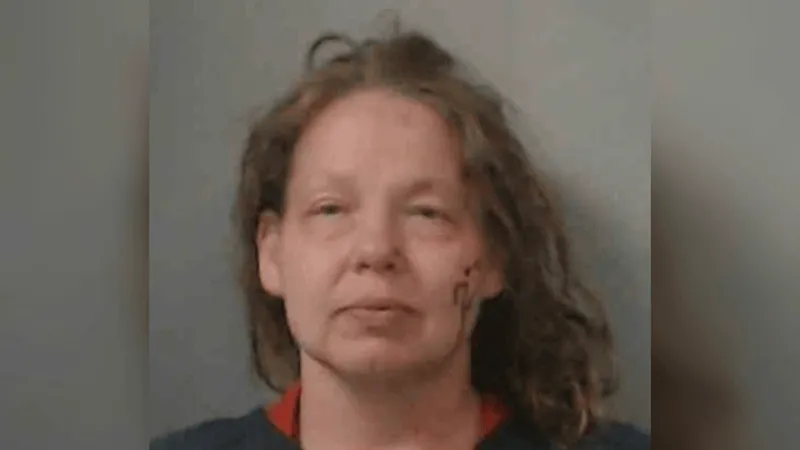 Woman arrested after wrong-way I-26 chase, faces multiple charges