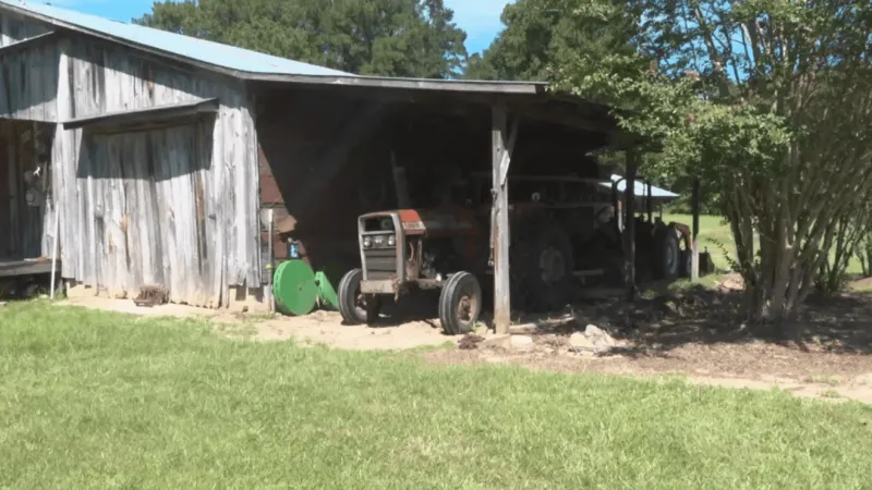 Rising diesel prices force Horry County farmer to change fieldwork to cut costs