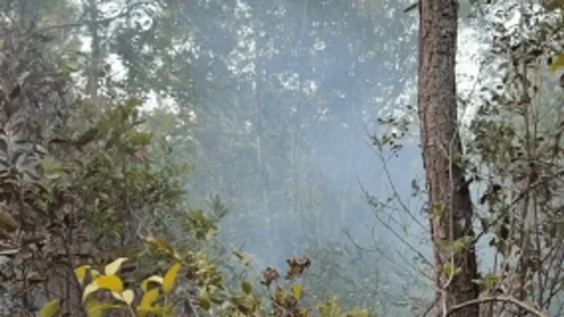 Brush fire near Waccamaw Boulevard fully contained; smoke notice for area