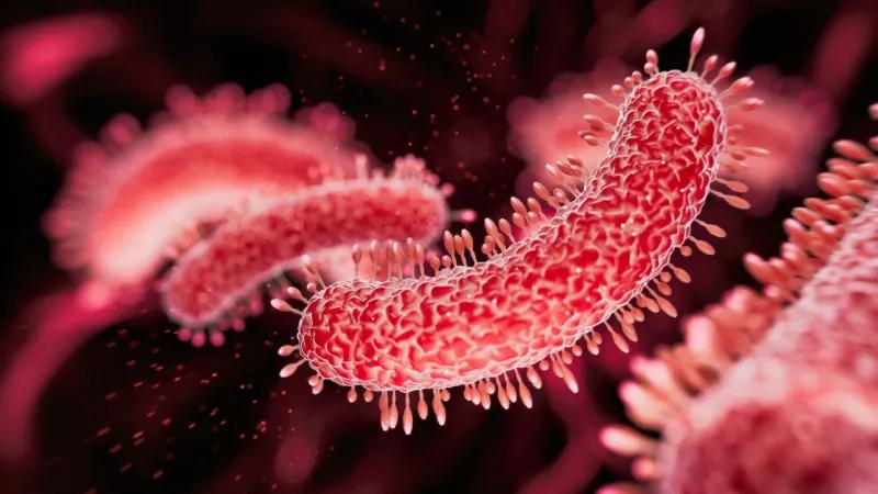 New tuberculosis case prompts testing push at Hartsville High School