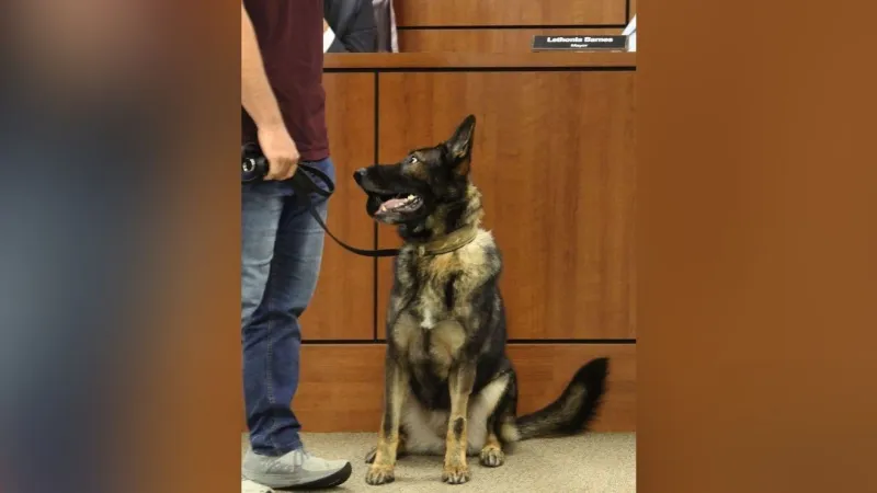 Florence police K9 Shelby retires