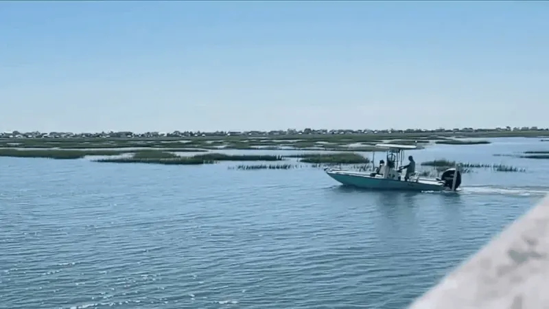 Murrells Inlet community to host annual Fall Haul cleanup this weekend